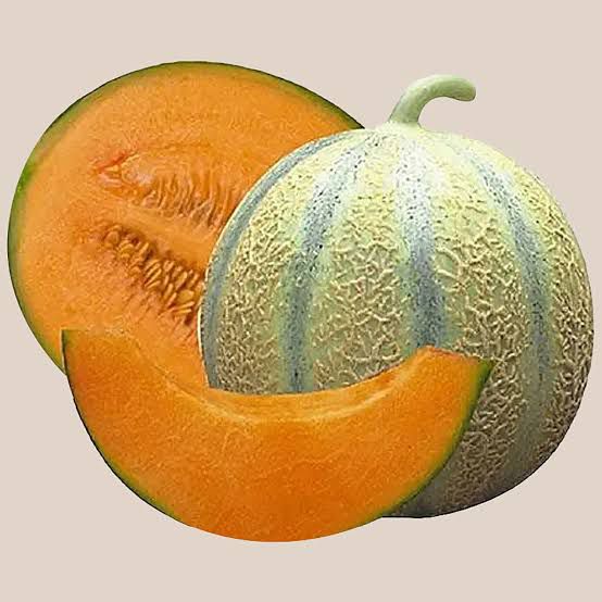 Musk Melon Stripes 500g